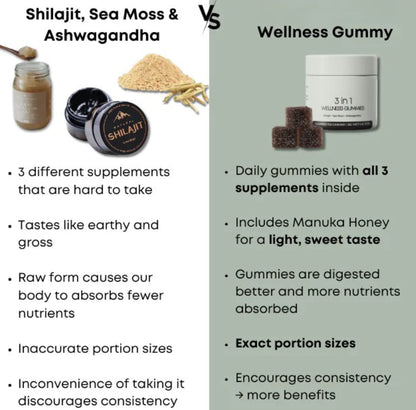 Shilajit 3-in-1 Men’s Wellness Gummies