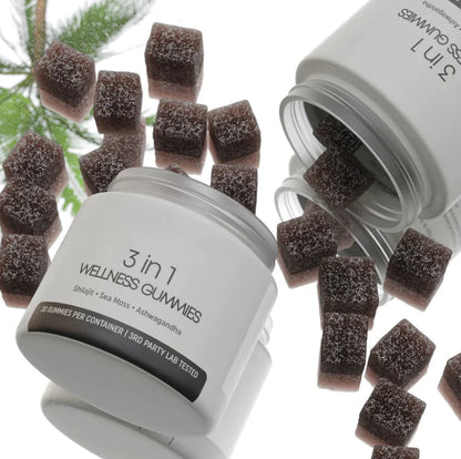 Shilajit 3-in-1 Men’s Wellness Gummies